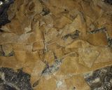 Foto del paso 5 de la receta: Fideos anchos pappardelle