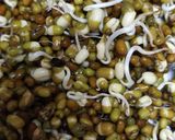 স্প্রাউট স্যালাড (sprout salad recipe in bengali) রেসিপি ধাপ - 3 ছবি