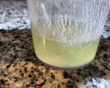 Foto del paso 11 de la receta: Como descongelar nódulos kéfir(de leche)
