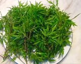 Hình bước làm 1 của món Trứng chiên lá đinh lăng