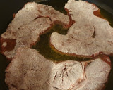 Foto del paso 1 de la receta: Fricandó