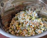 प्रोटीन डोसा (protein dosa recipe in Hindi) रेसिपी चरण 1 फोटो