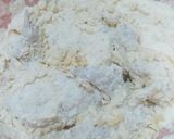 Foto langkah ke 2 dari resep Ayam Richeese Sederhana.