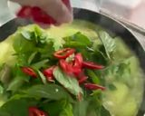 รูปขั้นตอนการทำที่ 5 ของ แกงเขียวหวานไก่ใส่ฟัก