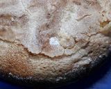 Foto del paso 1 de la receta: Bizcochuelo de limón