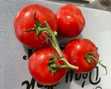 Une image de l'étape 3 de Gratin de dorade sébaste à l’oseille et tomates.