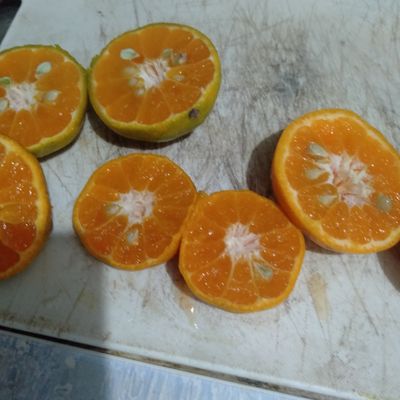 Langkah 1