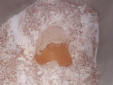 Pan de salvado 🥪