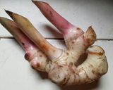 Foto langkah ke 3 dari resep Ayam Goreng Lengkuas Gurih (+ tips remahan).