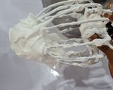 A picture of step 7 of Vanilla Cake with whipped Cream Frosting.