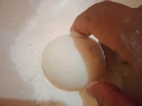 Scotch Eggs