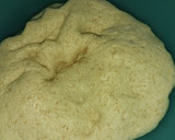 Foto del paso 8 de la receta: Ciabatta