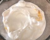 格蘭諾拉水果優格的食譜步驟1照片