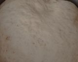 Foto langkah ke 4 dari resep Salt Bread.