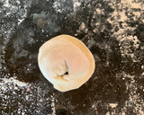 Foto del paso 13 de la receta: Tortellini estilo Ruso (Pelmeni) 🇷🇺