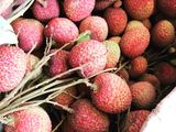 ~ส้มฉุน~