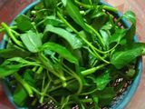 Kangkung Masak Kerang Ijo
