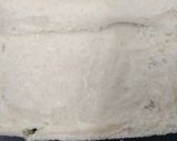 A picture of step 4 of Paneer Cheese Cigar.