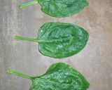 পালং-চিংড়ি ফ্রাই(Palang-Chigri Fry recipe in Bengali) রেসিপির ধাপ 1 ছবি