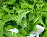 Foto del paso 1 de la receta: Achicoria