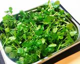 Hình bước làm 4 của món Salát Bò và Cải Xoong