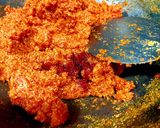 A picture of step 2 of Beetroot Gajar Halwa Cake - Beetroot Carrot Halwa Valentines Cake.