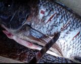 A picture of step 2 of Grilled Whole Fish with Tamarind, Sweet Soy Sauce and Bento Rice.