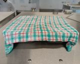 A picture of step 4 of Brioche.