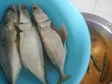 Gulai Ikan Termenung