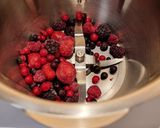 Foto del paso 1 de la receta: Mousse Frutos del bosque Fitness