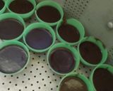 Foto langkah ke 4 dari resep Kue negro.