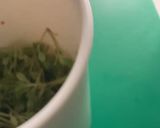 Foto del paso 3 de la receta: Ensalada de pasta con garbanzos, maíz y pesto casero de albahaca