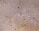 صورة لخطوة 3 من وصفة شوربه مشروم🍄😋