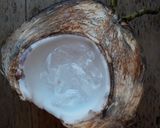 Foto langkah ke 5 dari resep Buko Pandan Kelapa Muda.