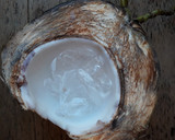Foto langkah ke 5 dari resep Buko Pandan Kelapa Muda.