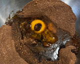 Foto del paso 1 de la receta: Tarta de chocolate con crema de almendras sin gluten