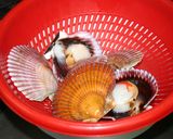 Foto del paso 2 de la receta: Zamburiñas a la plancha