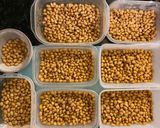 A picture of step 6 of Ferment Natto at home.