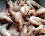 รูปขั้นตอนการทำที่ 2 ของ กุ้งผัดเนย