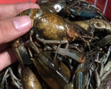 Foto del paso 1 de la receta: Langostinos de río 🦞 (CrawFish) Fusión Cajún Mojo