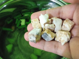 Lodeh tempe semangit