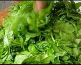 પાલક પનીર (Palak Paneer Recipe In Gujarati) રેસીપી સ્ટેપ2ફોટો