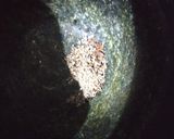 A picture of step 1 of LalKadam.