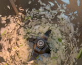 Foto del paso 1 de la receta: Crema de zanahoria y calabacín con puerro