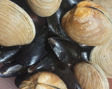 Foto del paso 1 de la receta: Pulmay #curantoenolla