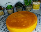 Foto langkah ke 6 dari resep Bolu/Cake Jelita Lowcarb/Debm/Keto.