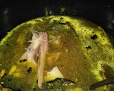 Foto langkah ke 3 dari resep Gulai Nangka Telur.