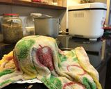 Foto del paso 3 de la receta: Pan integral en panificadora
