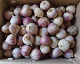 Foto langkah ke 1 dari resep Black Garlic.