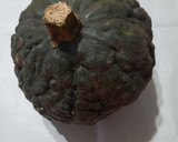Foto del paso 1 de la receta: Zapallo Cabutia relleno